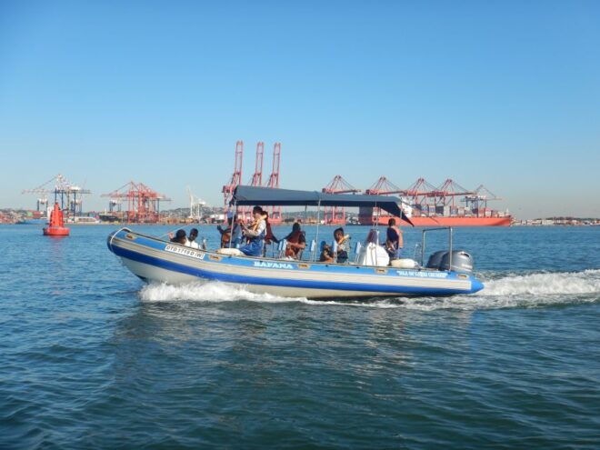 Durban: 1-Hour Boat Cruise From Wilsons Wharf - Booking Information