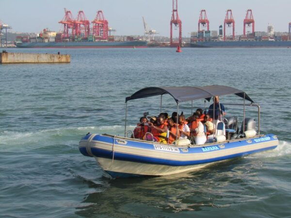 Durban: 1-Hour Boat Cruise From Wilsons Wharf - Customer Reviews