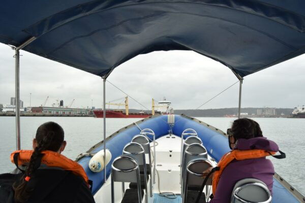 Durban: 1-Hour Boat Cruise From Wilsons Wharf - Directions
