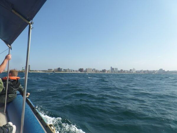 Durban: 1-Hour Boat Cruise From Wilsons Wharf - Frequently Asked Questions