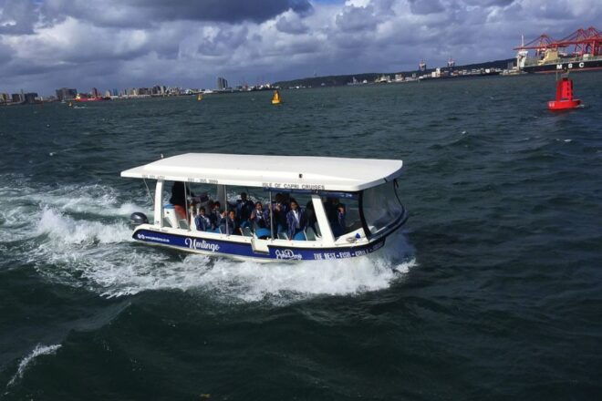 Durban: 30-Minute Harbor Boat Cruise - Highlights
