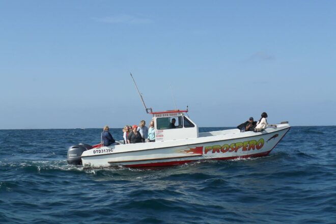 Durban: 30-Minute Harbor Boat Cruise - Directions