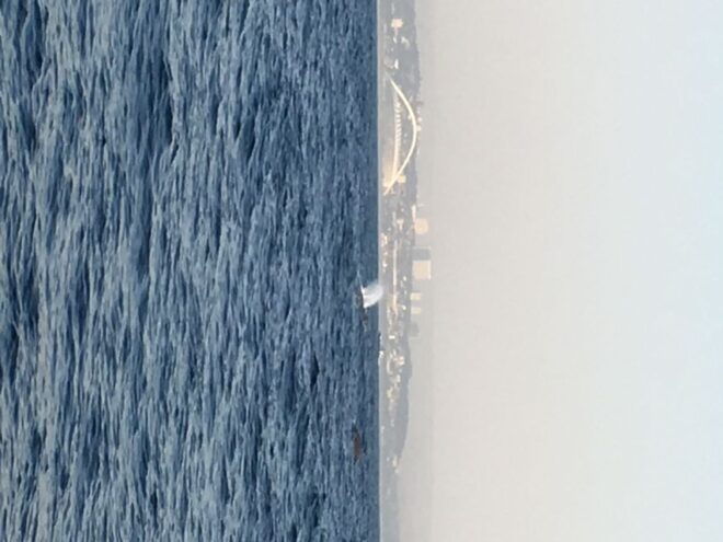 Durban: Durban: Whale and Dolphin Watching Boat Tour - Preparation