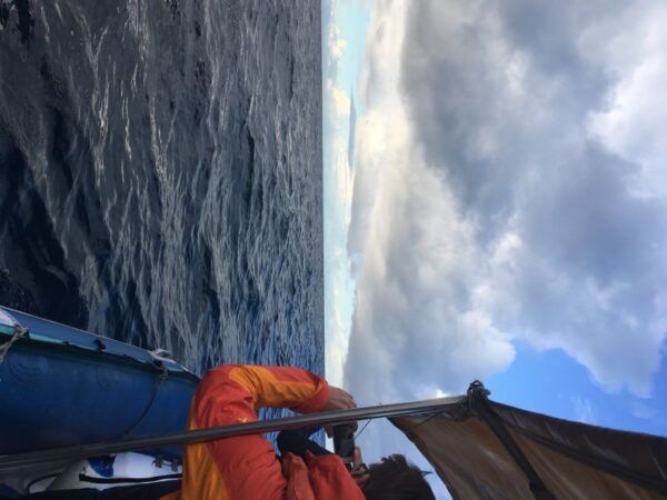 Durban: Durban: Whale and Dolphin Watching Boat Tour - The Sum Up