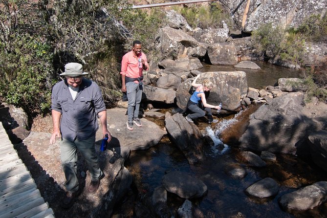 Durban: Giants Castle Rock Art, The Midlands & Mandela Capture Site - Meeting and Pickup