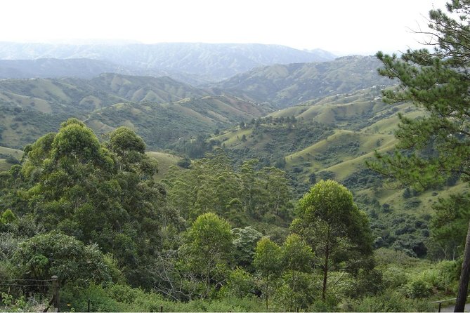 Durban Shore Excursion: Valley of 1000 Hills and PheZulu Tour - Additional Information