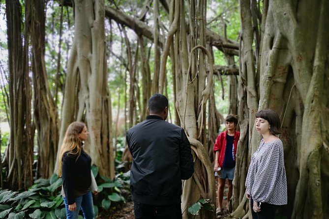 Durban Small-Group Full-Day Insider Tour With Local Guides - Cancellation Policy