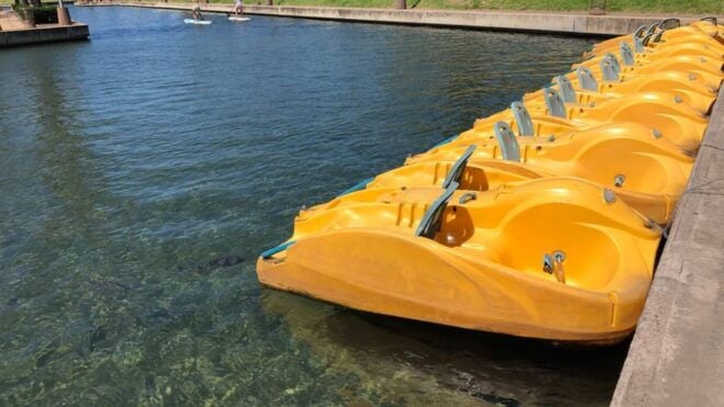 Durban: Waterfront Canals Pedal Boat Rental - Inclusions and Services Provided