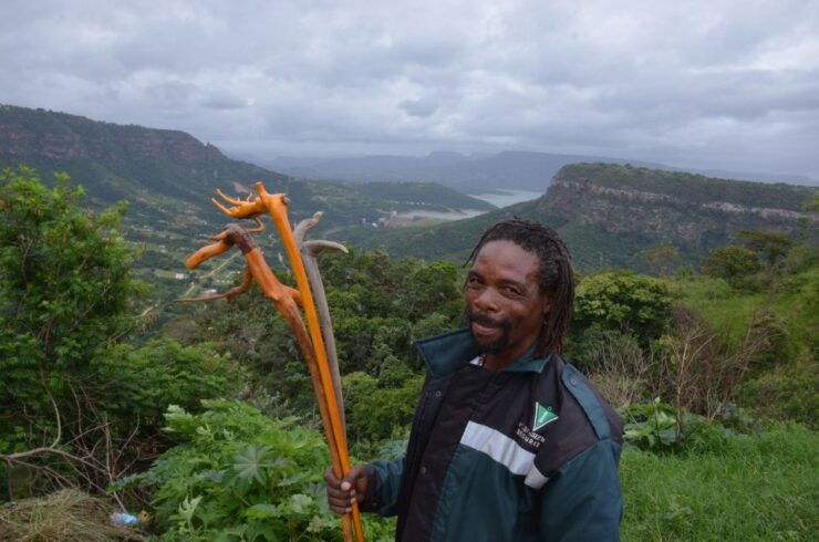 Durban: Zulu Oracle and Herbalist Experience Day Tour - Experience Highlights