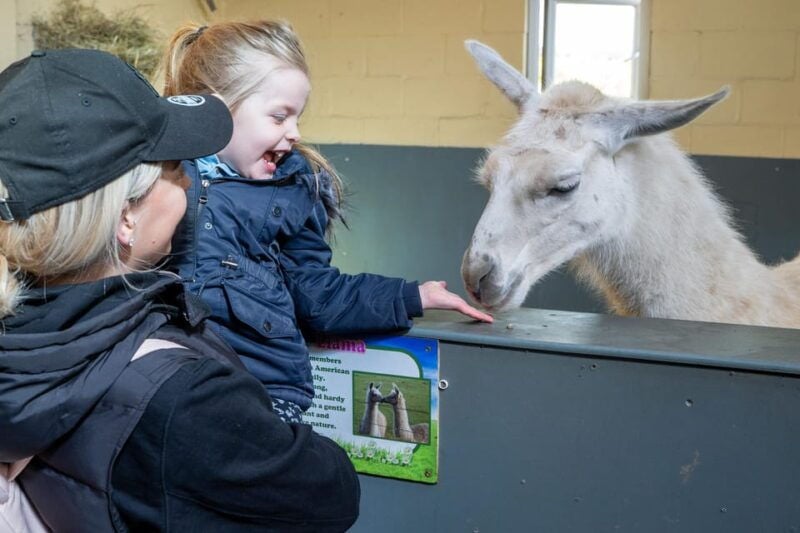 Durham: Adventure Valley Farm Park Entry Ticket - Final Thoughts