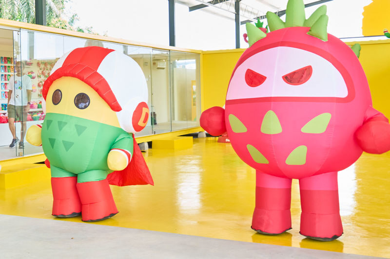 DurianBB Academy Tickets in Selangor - Is the Ticket Good Value?