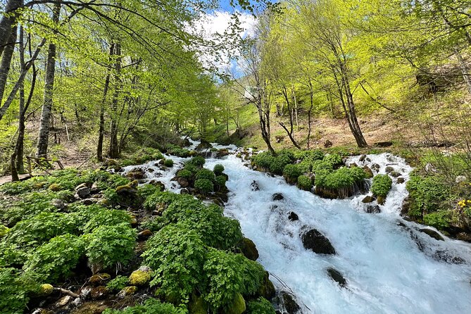 Durmitor - Black Lake & Tara River Canyon - North Montenegro Tour - Inclusions