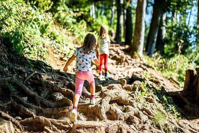 Durmitor National Park Hiking Tour - 3 Lakes - Cancellation Policy