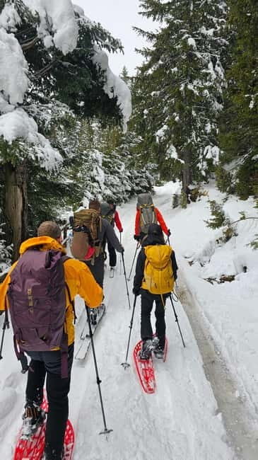 Durmitor National Park: Snowshoeing Hike to Base Camp - The Return Journey and Additional Highlights