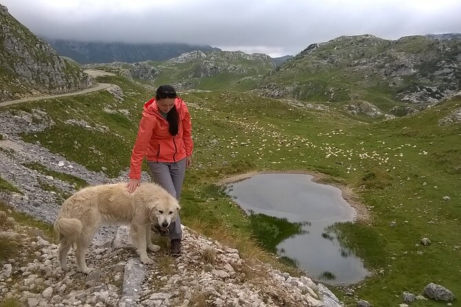 Durmitor NP Private Tour- Among Katuns, Shepherds and Geological Miracles - Unveiling Geological Wonders