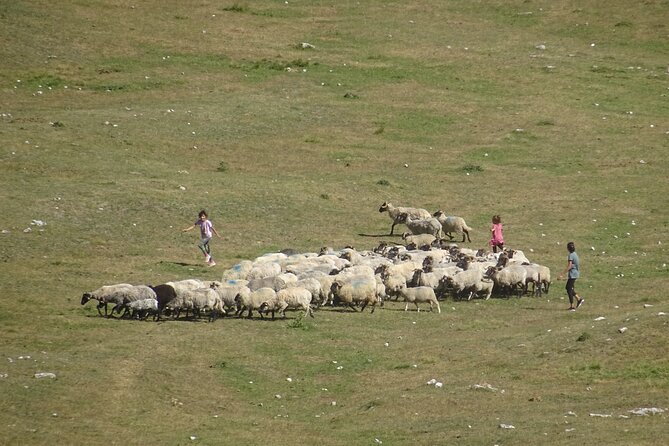 Durmitor NP Private Tour- Among Katuns, Shepherds and Geological Miracles - The Sum Up