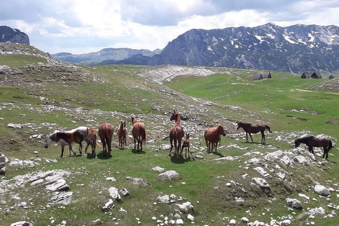 Durmitor Ring Tour - Inclusions