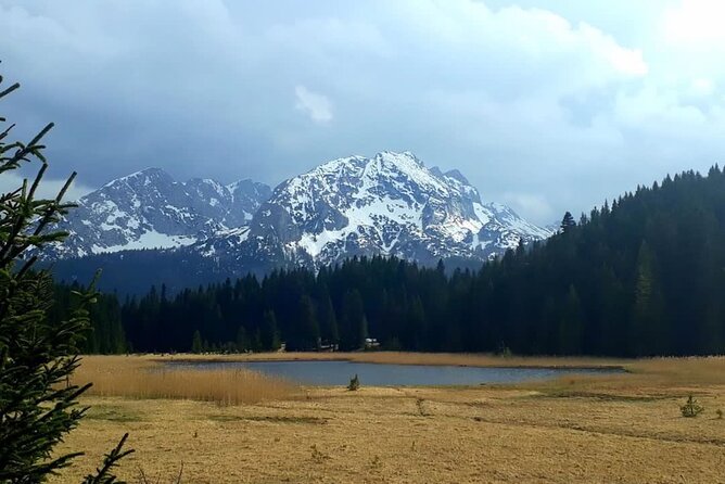 Durmitor Tour - Black Lake and Djurdjevica Tara Bridge Tour - Cancellation Policy