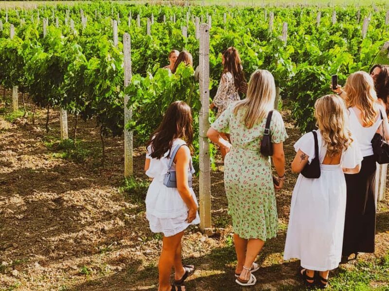 Durres Countryside Vineyards Wine Tasting & Food Pairing - An In-Depth Look at the Tour Experience