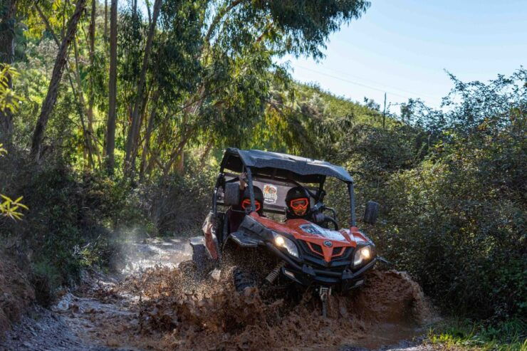 Durt & Dust Paradaise Tour - Buggy Tour 90 Min - Activity Details