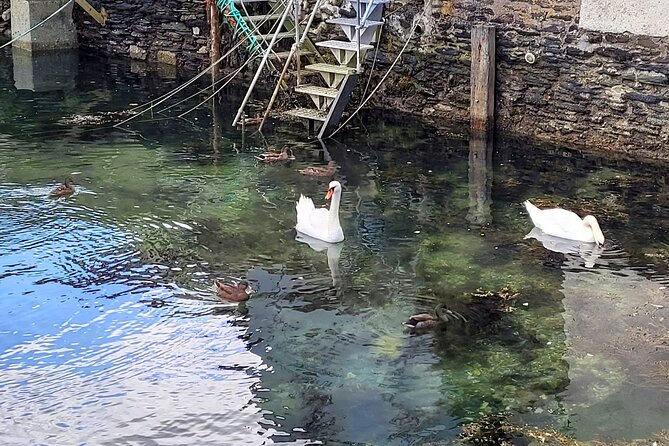 Dusk Walking Tour of Fowey - Directions