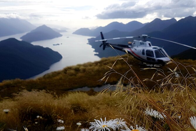 Dusky Sound // Helicopter Scenic Flight - Meeting Point and Pickup Information