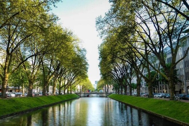 Dusseldorf : Highlights Walking Tour With a Guide - Meet Your Guide