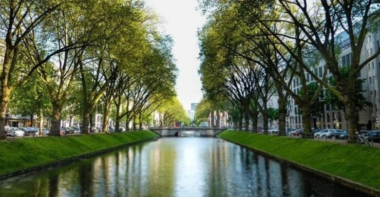 Dusseldorf : Highlights Walking Tour With a Guide - Language Options Available