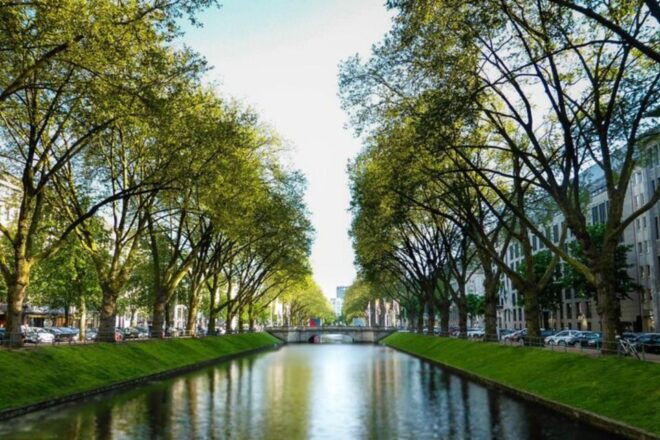 Düsseldorf: Private Custom Tour With a Local Guide - Gain Insight Into Local Culture and Life
