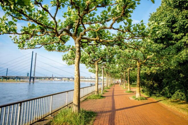 Dusseldorf: Private History Tour With a Local Expert - Common Questions