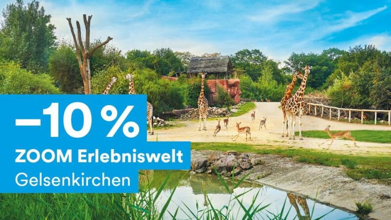 DüsseldorfCard Plus - Good To Know