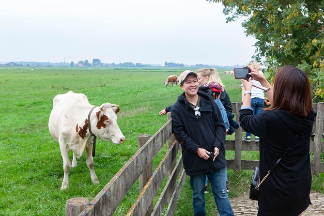 Dutch Countryside and Tulip Fields Tour - Meeting Point
