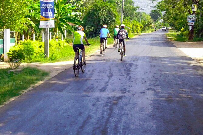 Dutch Fort and City by Bicycle from Galle - Who Will Love This Tour?