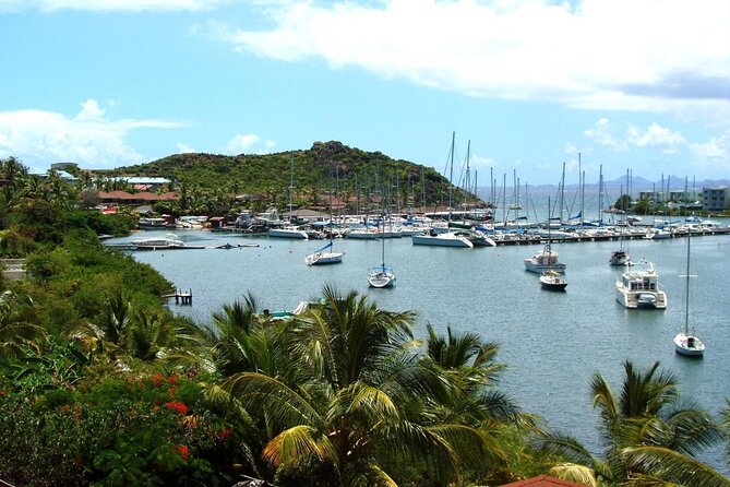 Dutch St Maarten Mural Picture Tour - Tour Highlights