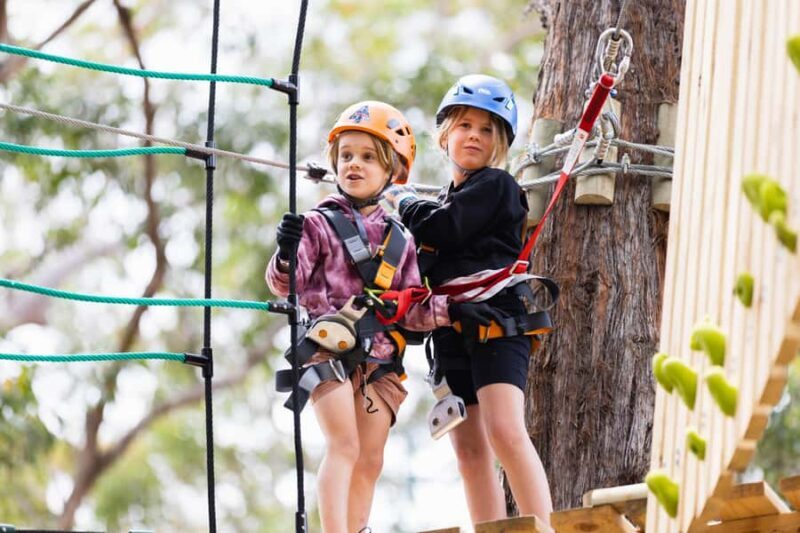 Dwellingup: Junior Tree Ropes Course - Good To Know