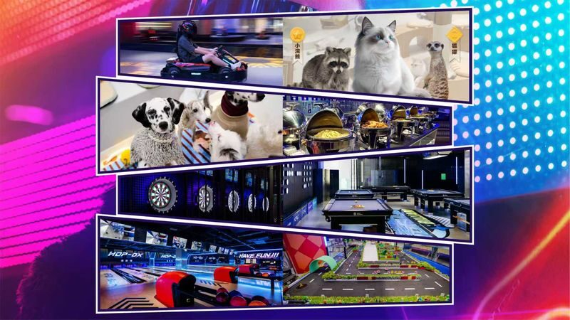 DX-PARK 2.0 Geocentric Park - A night pass that asks you to choose