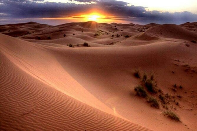 DXB Morning Desert Safari With Camel Ride & Sand Boarding - Refunds and Weather Conditions