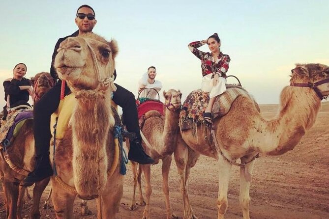 DXB Morning Desert Safari With Camel Ride & Sand Boarding - Reviews and Ratings