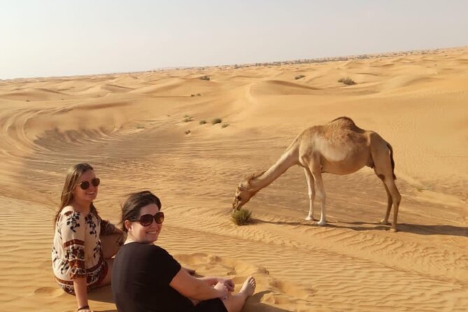 DXB Private Morning Desert Safari With Camel Ride N Sand Boarding - Traveler Reviews and Pricing
