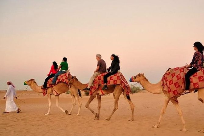 DXB Red Dune Desert Safari, Sand Boarding, Camel Ride, Live Shows, BBQ Dinner - Common Questions