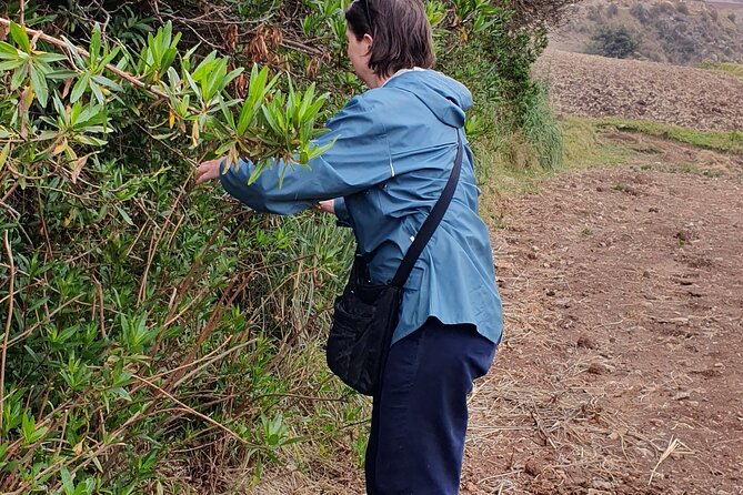 Dyeing Experience in Cuzco - Step-by-Step Dyeing Process