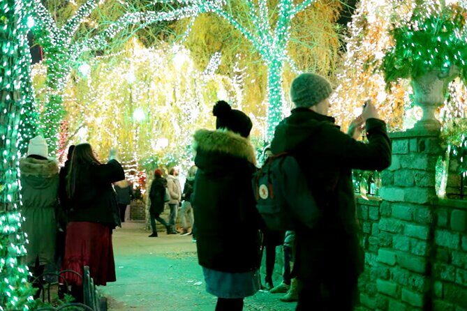 Dyker Heights Brooklyn Christmas Lights Walking Tour - Why This Tour Works Well