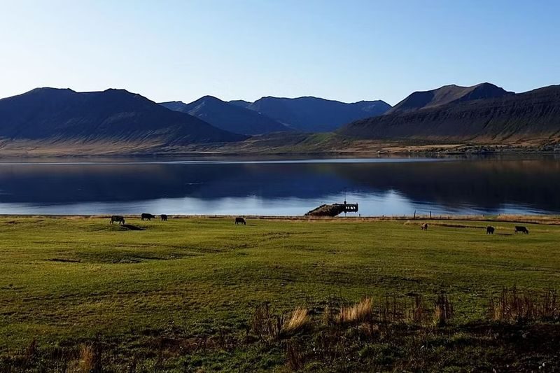 Dynjandi Waterfall and Farm Tour from Isafjordur Port - Coffee and happy marriage cake at Gemlufell Farm