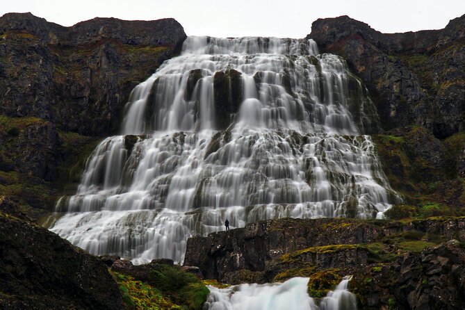 Dynjandi Waterfall & Iceland Farm Visit Tour - Scenic Beauty and Impressive Guide