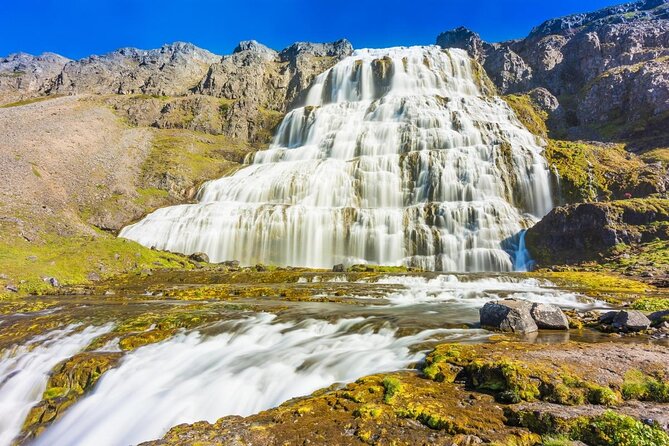 Dynjandi Waterfall & Iceland Farm Visit Tour - Concerns About Profanity and Cancellation