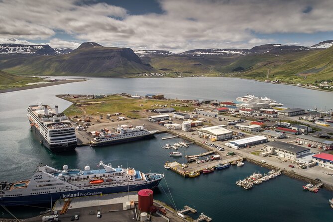 Dynjandi Waterfall & Iceland Farm Visit Tour - Viator: A Reliable Booking Platform