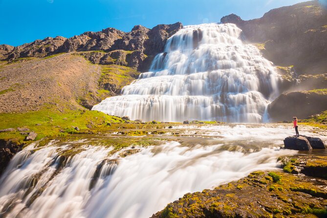 Dynjandi Waterfall & Iceland Farm Visit Tour - Overall Traveler Experience