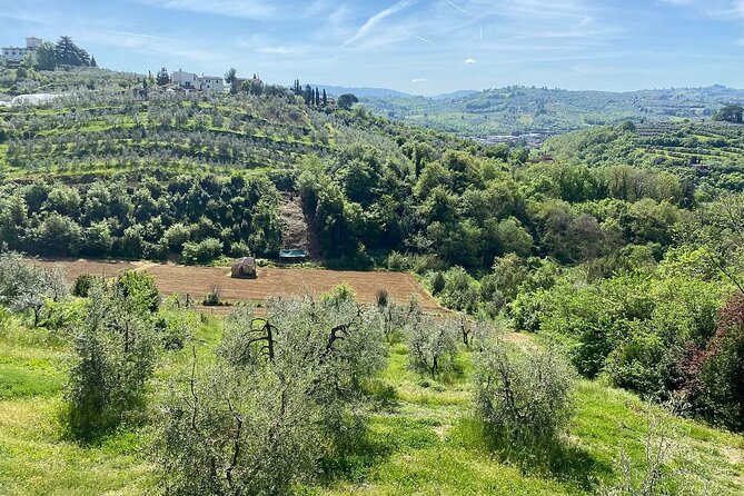 E-Bike 2.5 Hour Florence Hills Tour With Olive Oil Tasting - Reviews and Ratings