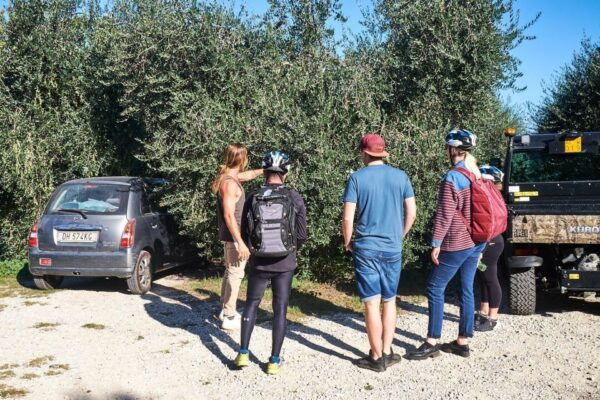 E-Bike 2.5 Hour Florence Hills Tour With Olive Oil Tasting - Testimonials