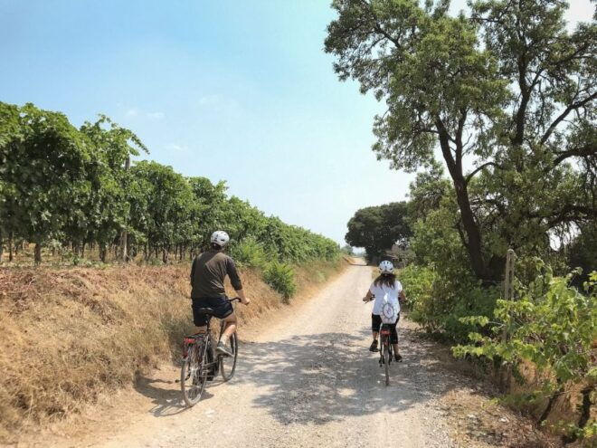 E-Bike Adventure Among Villages and Medieval Castles - Important Information